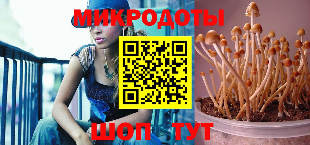Галлюциногенные грибы мухоморы  Вход с VPN  Галлюциногенные грибы ЛСД  Шатура 